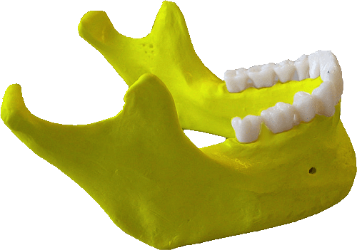 yellow Jawbone gif